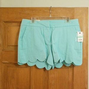 Mint Scalloped Crown & Ivy Size 8 Shorts